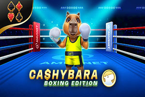 Cashybara Boxing Edition