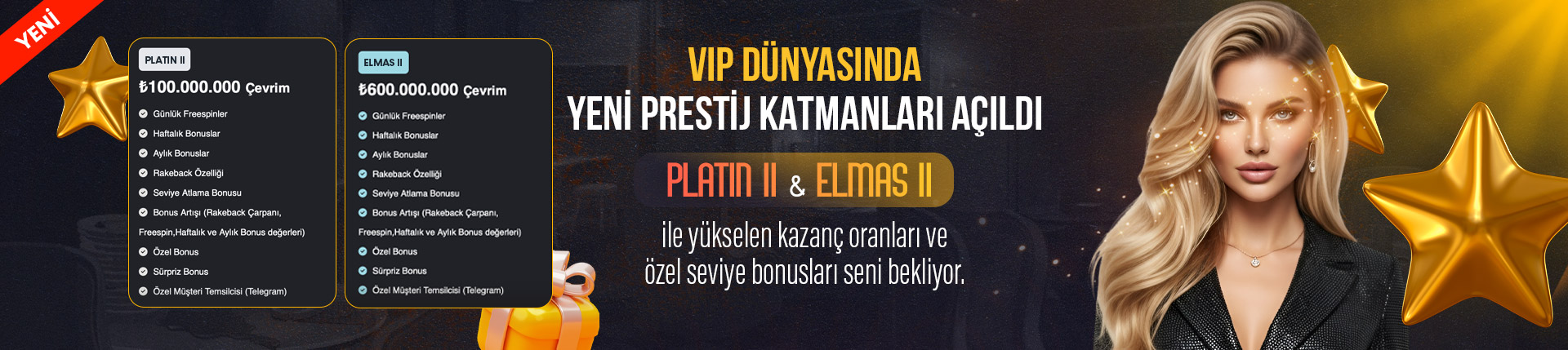 Vip tanitim